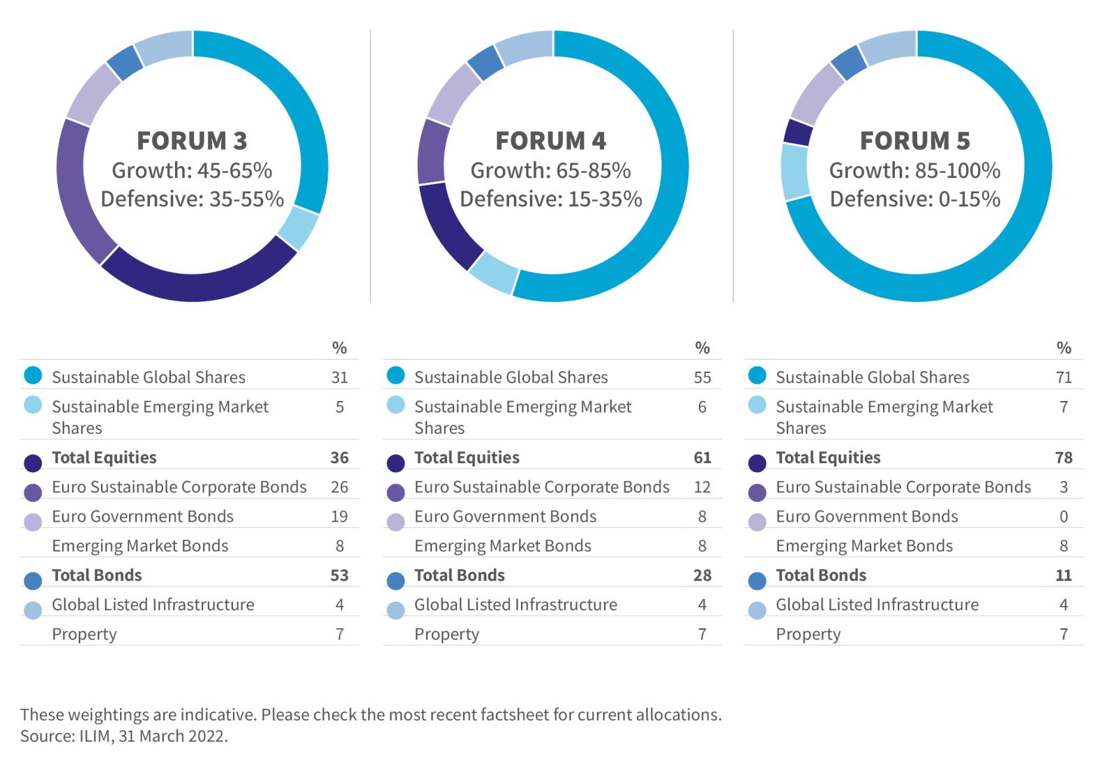 Pie chart showing the indicative fund weightings